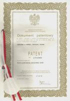 Patent 2