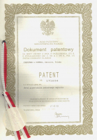 Patent 3